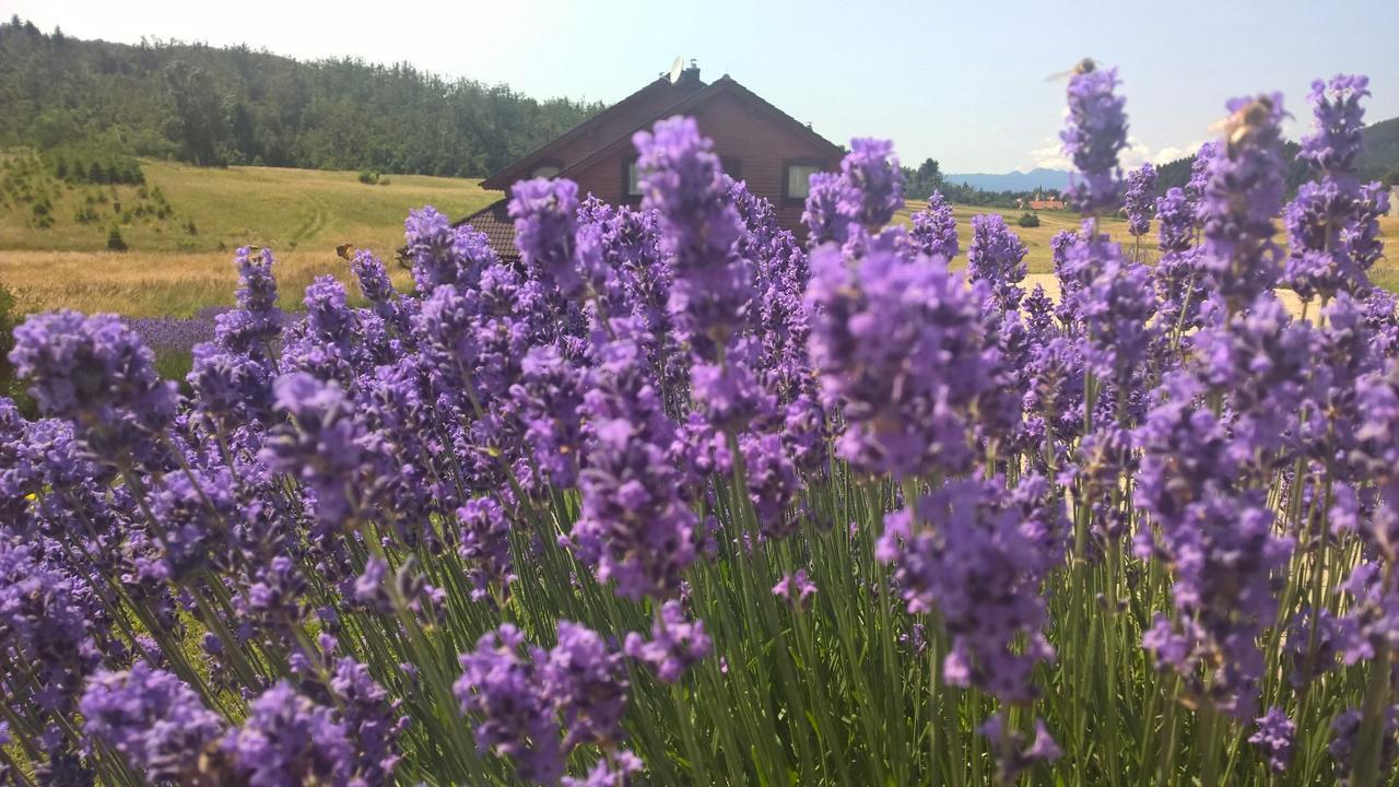 Boutique B&B Japodi Mrkopalj Eksteriør billede